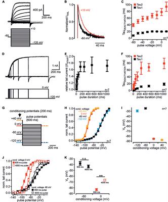 Inverse Modulation of Neuronal Kv12.1 and Kv11.1 Channels by 4-Aminopyridine and NS1643